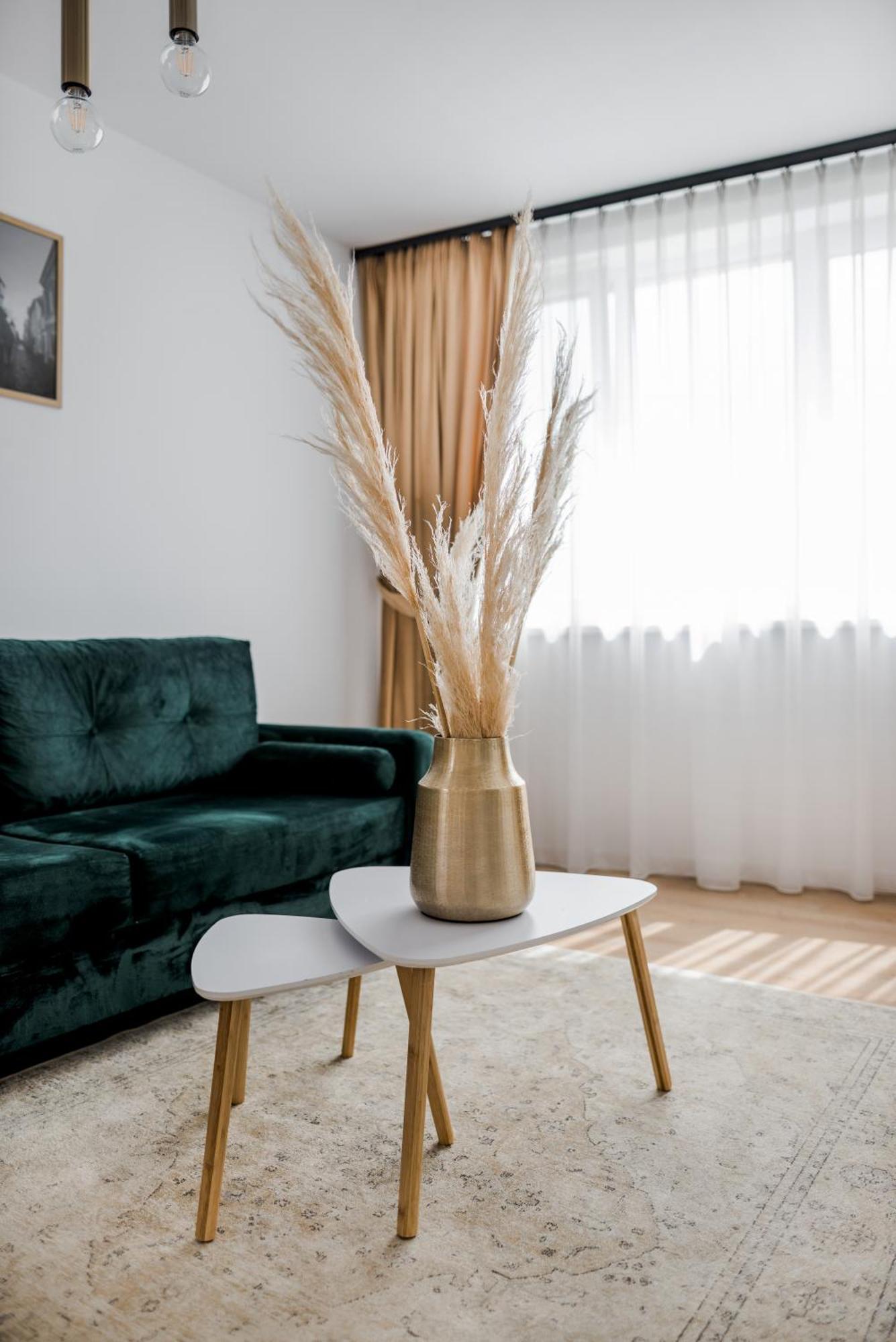 Amazing Mountain View Apartment シビウ エクステリア 写真