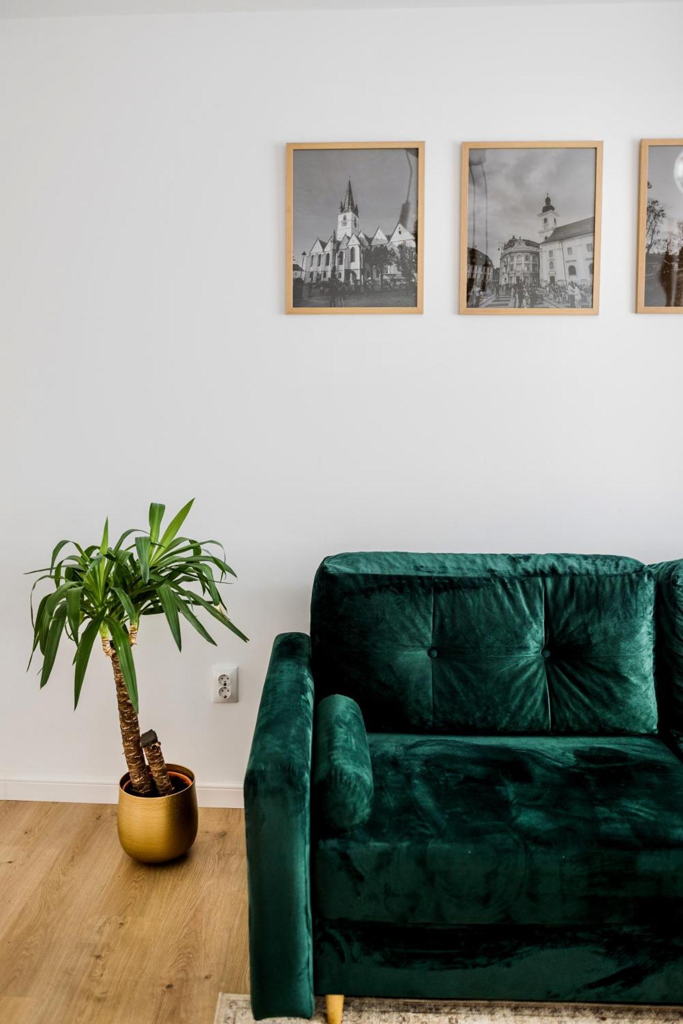 Amazing Mountain View Apartment シビウ エクステリア 写真