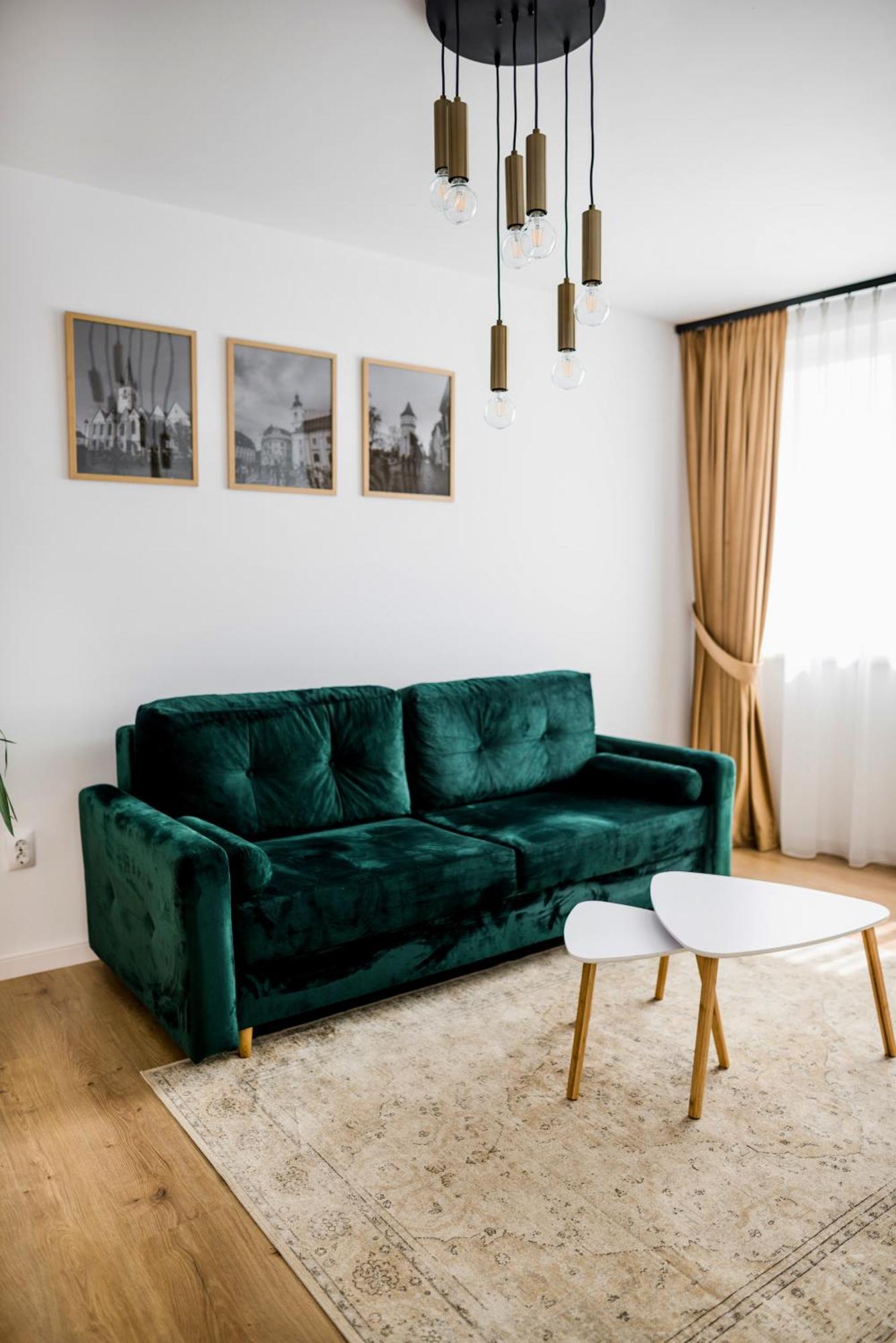 Amazing Mountain View Apartment シビウ エクステリア 写真
